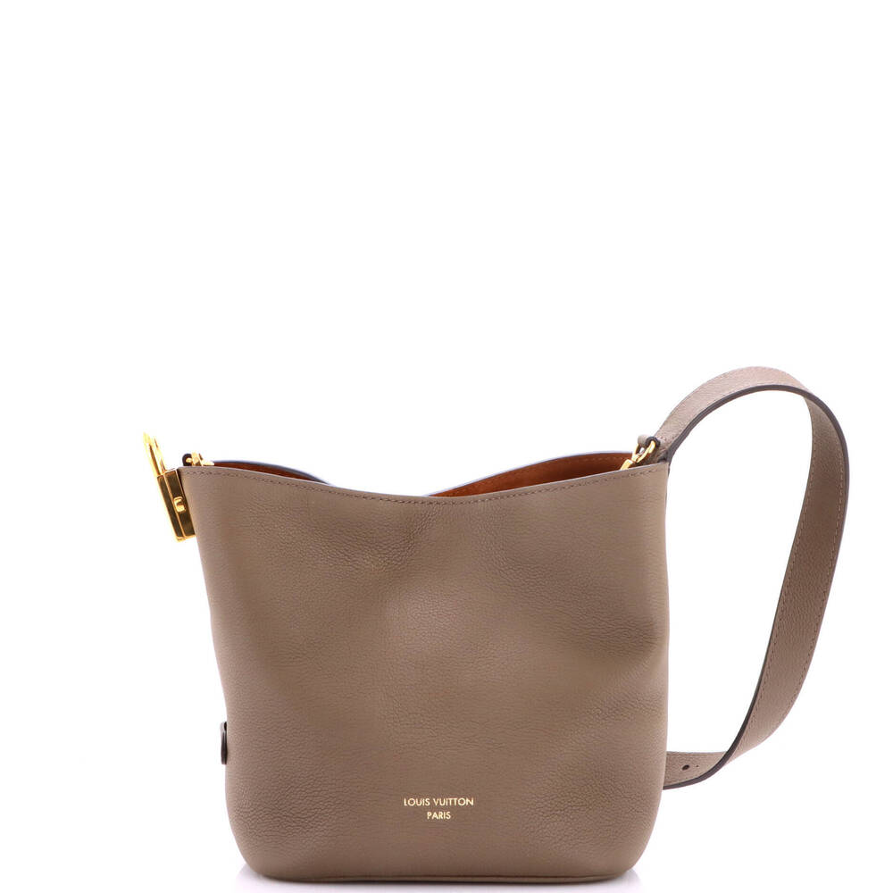 Louis Vuitton BB Low Key All In Hobo Leather